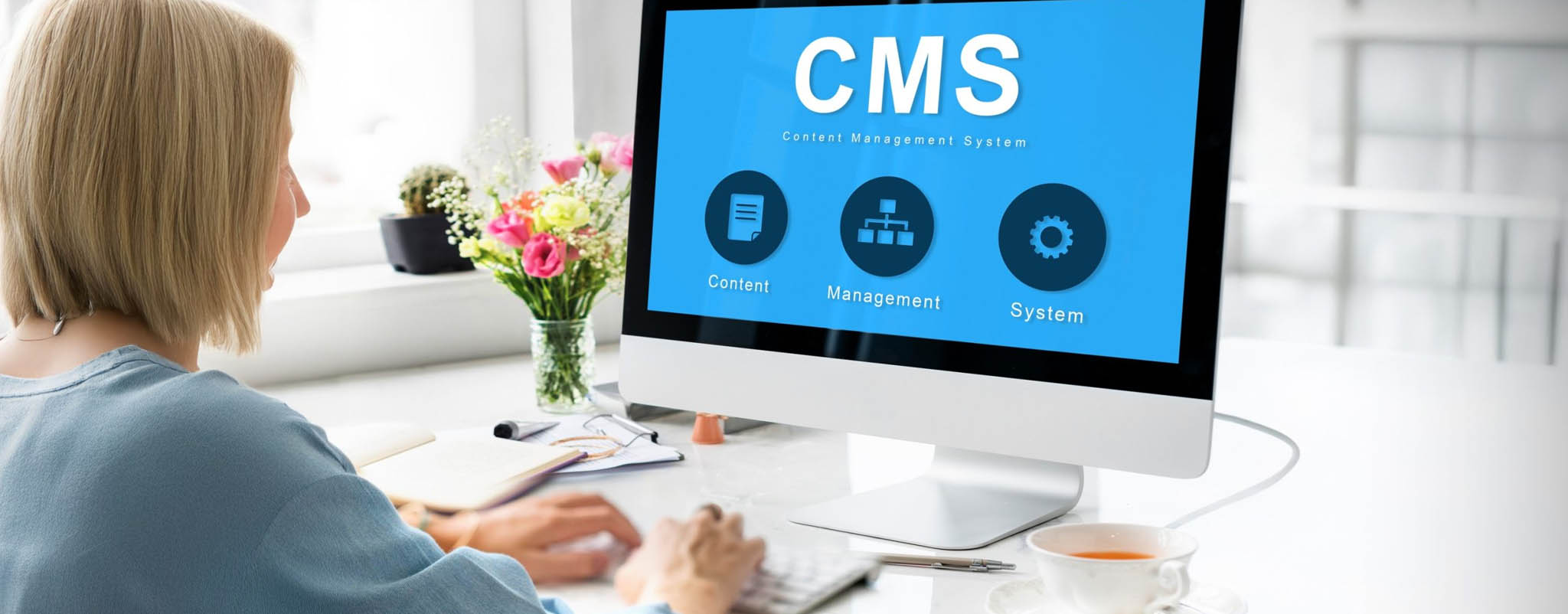 CMS Development